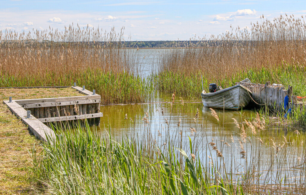 Semesterhus - Born auf dem Darß , Tyskland - DZV291 14