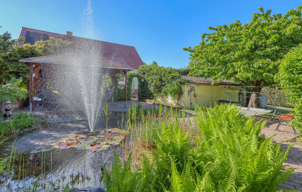 Lejlighed - Nordwestuckermark , Tyskland - DZV396 1