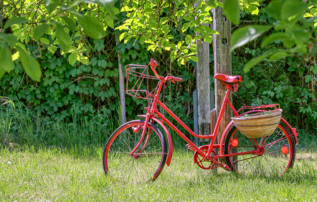Ferienwohnung - Jabel , Deutschland - DZV255 13