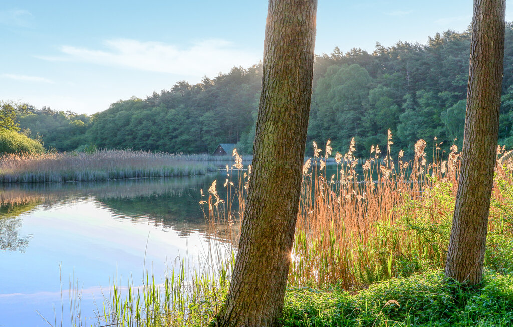 Location de vacances - Rheinsberg , Allemagne - DZV475 27