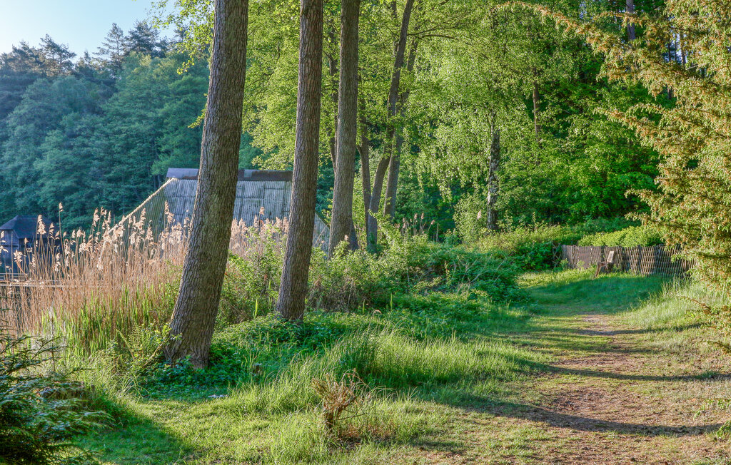 Location de vacances - Rheinsberg , Allemagne - DZV475 29