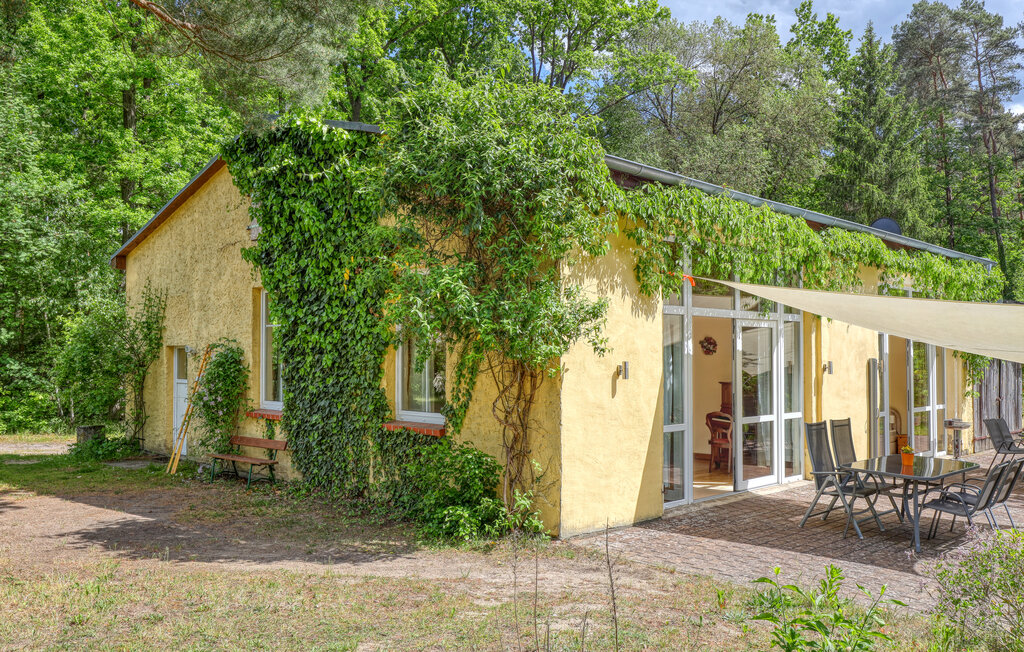 Domy wakacyjne - Boitzenburger Land OT Warthe , Niemcy - DZV220 1