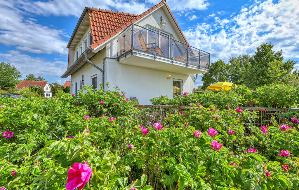 Ferienwohnung - Fuhlendorf , Deutschland - DZV305 12