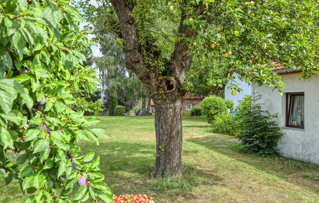 Ferienwohnung - Wesenberg OT Strasen , Deutschland - DZV380 9