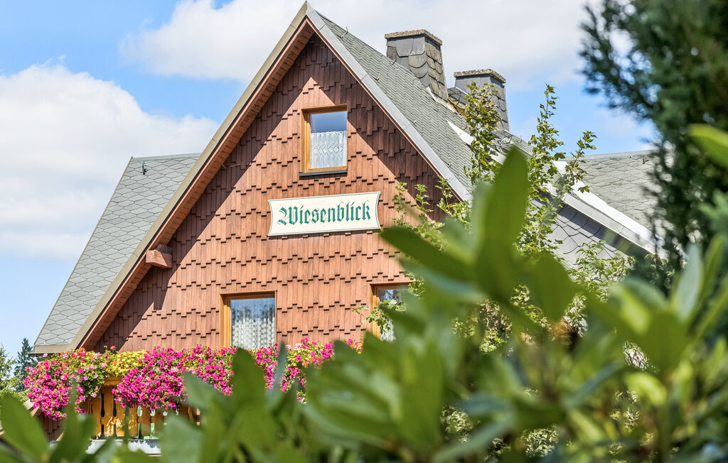 Ferienwohnung - Neuhermsdorf , Deutschland - DZV552 12