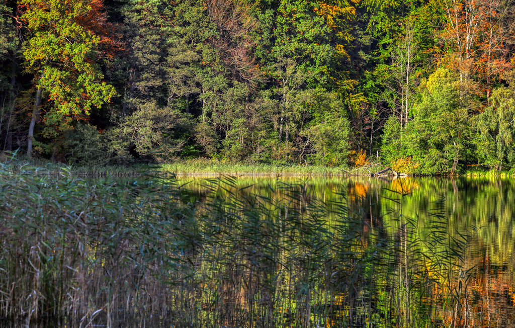 Ferienhaus - Boitzenburger Land , Deutschland - DZV070 24
