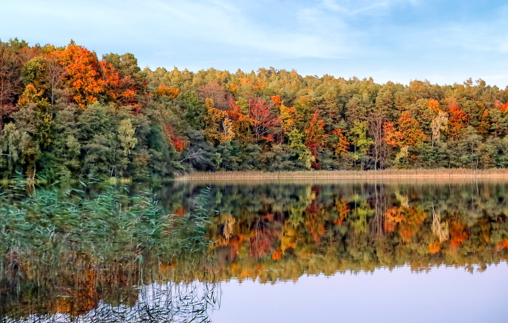 Ferienhaus - Boitzenburger Land , Deutschland - DZV070 27