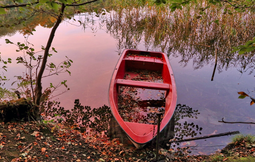 Domy wakacyjne - Boitzenburger Land , Niemcy - DZV071 24