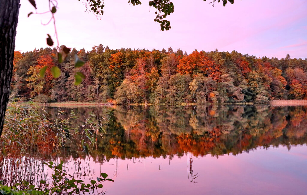 Domy wakacyjne - Boitzenburger Land , Niemcy - DZV071 25