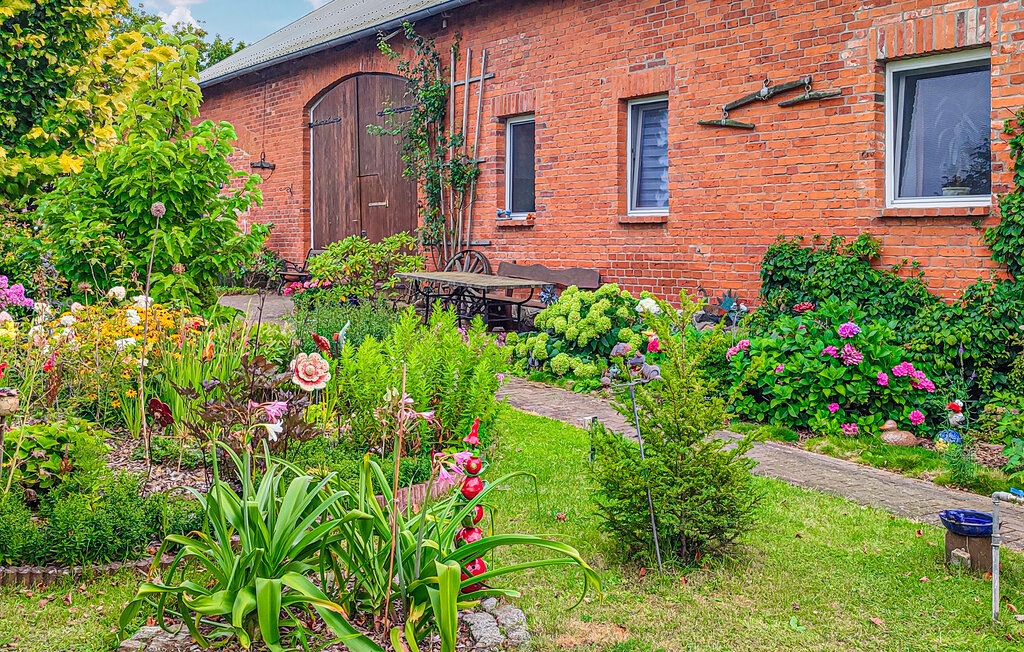Ferienwohnung - Wokuhl-Dabelow , Deutschland - DZV216 5