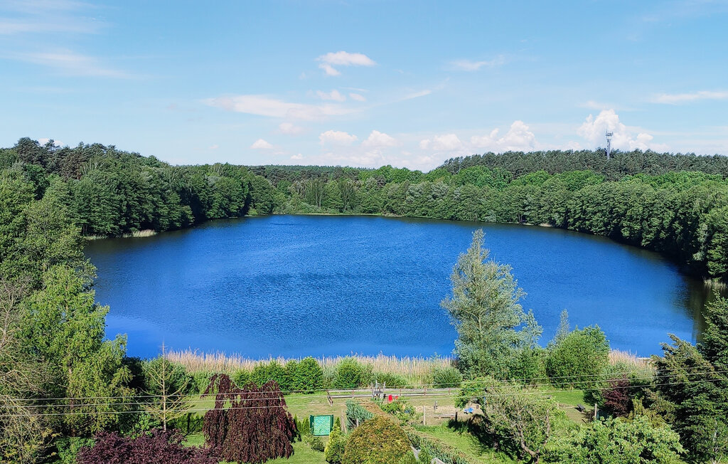 Ferienwohnung - Wokuhl-Dabelow , Deutschland - DZV217 15