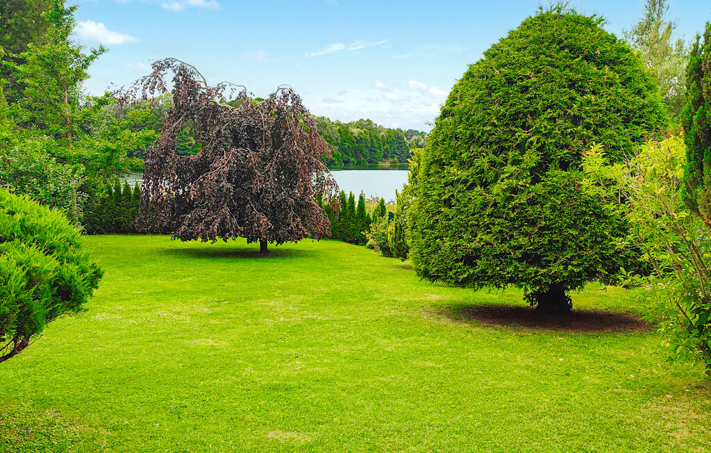 Ferienhaeuser - Wokuhl-Dabelow , Deutschland - DZV800 2