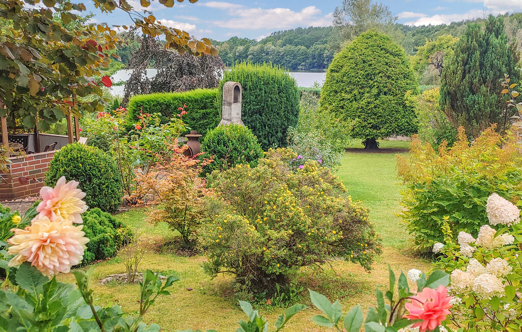 Ferienwohnung - Wokuhl-Dabelow , Deutschland - DZV217 9
