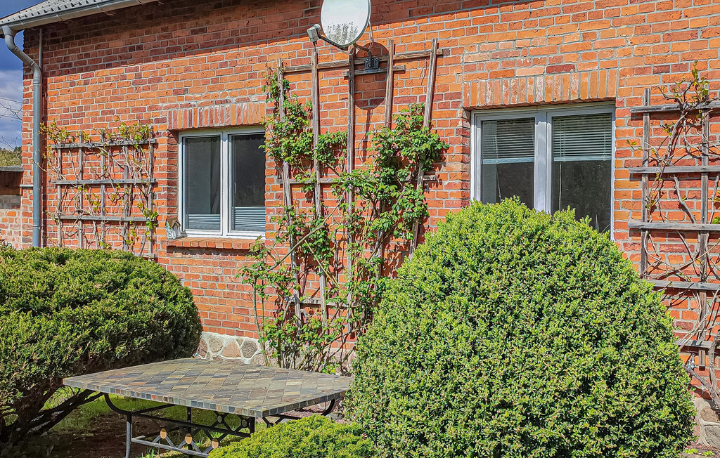 Ferienwohnung - Wokuhl-Dabelow , Deutschland - DZV217 7