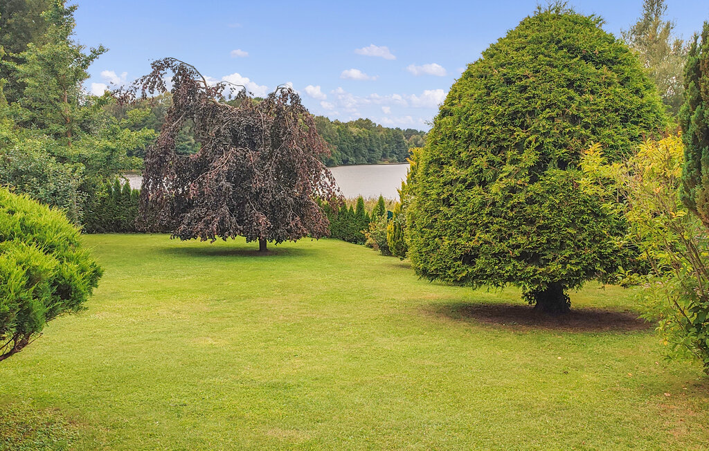Ferienwohnung - Wokuhl-Dabelow , Deutschland - DZV217 2
