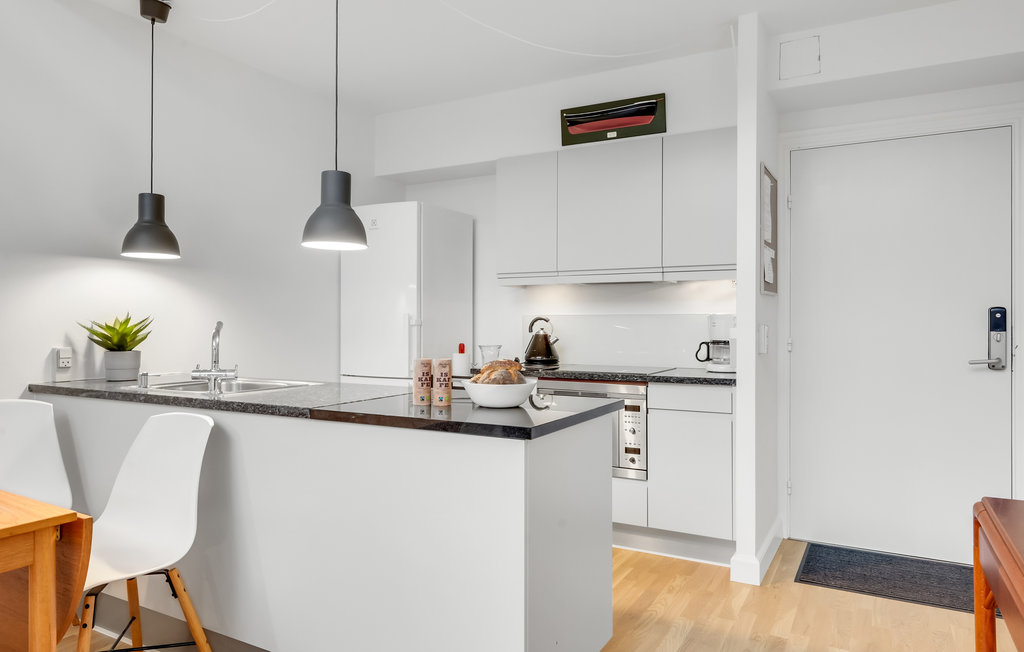 Ferienwohnung - Helsingør , Dänemark - E01604 4