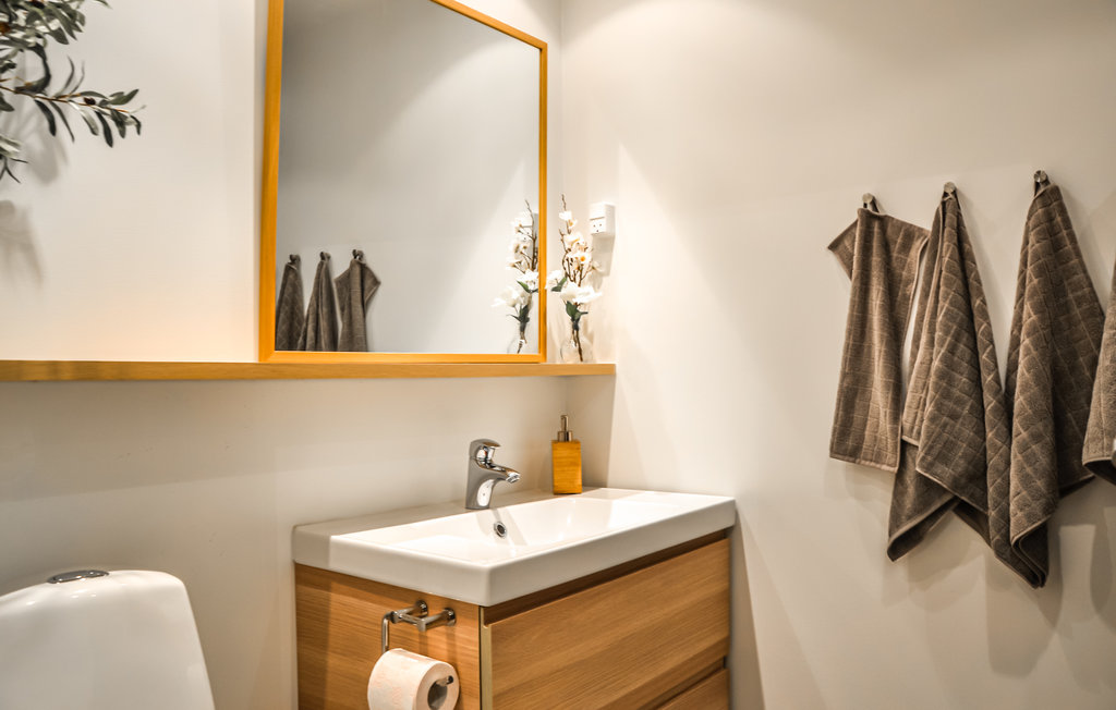 Ferienwohnung - Helsingør , Dänemark - E01516 9