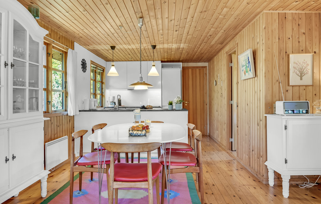 Ferienhaus - Hornbæk/Villingebæk , Dänemark - E02911 7