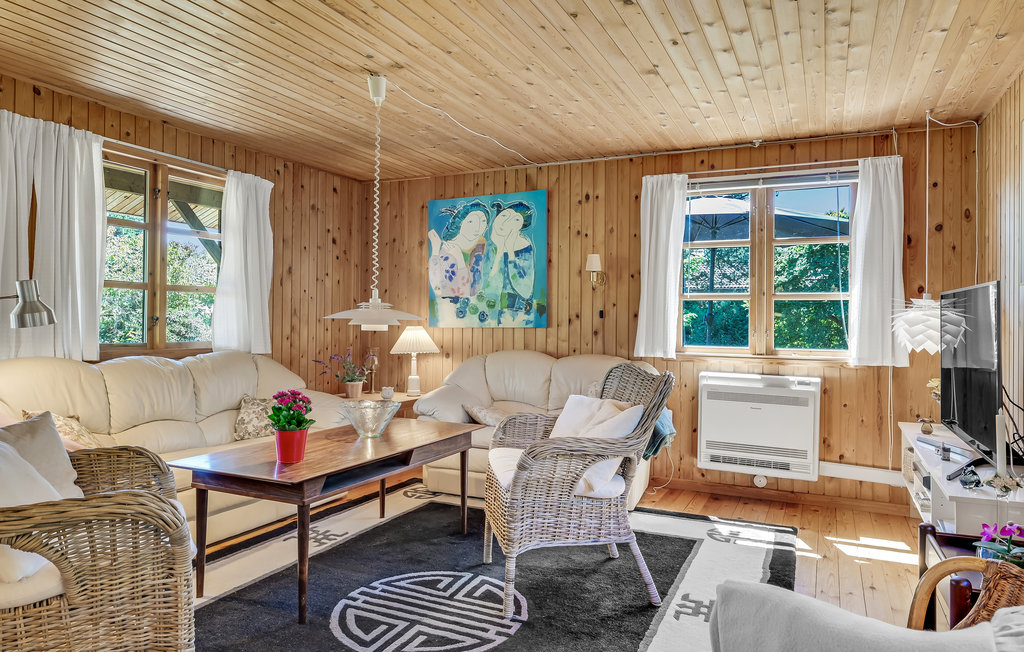 Ferienhaus - Hornbæk/Villingebæk , Dänemark - E02911 4