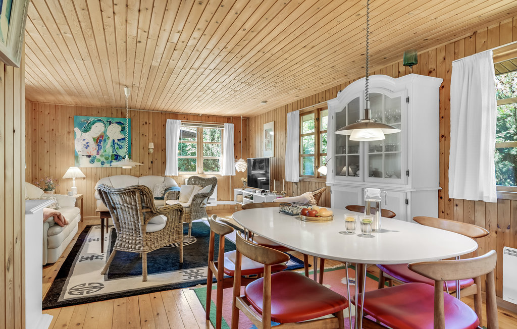 Ferienhaus - Hornbæk/Villingebæk , Dänemark - E02911 5