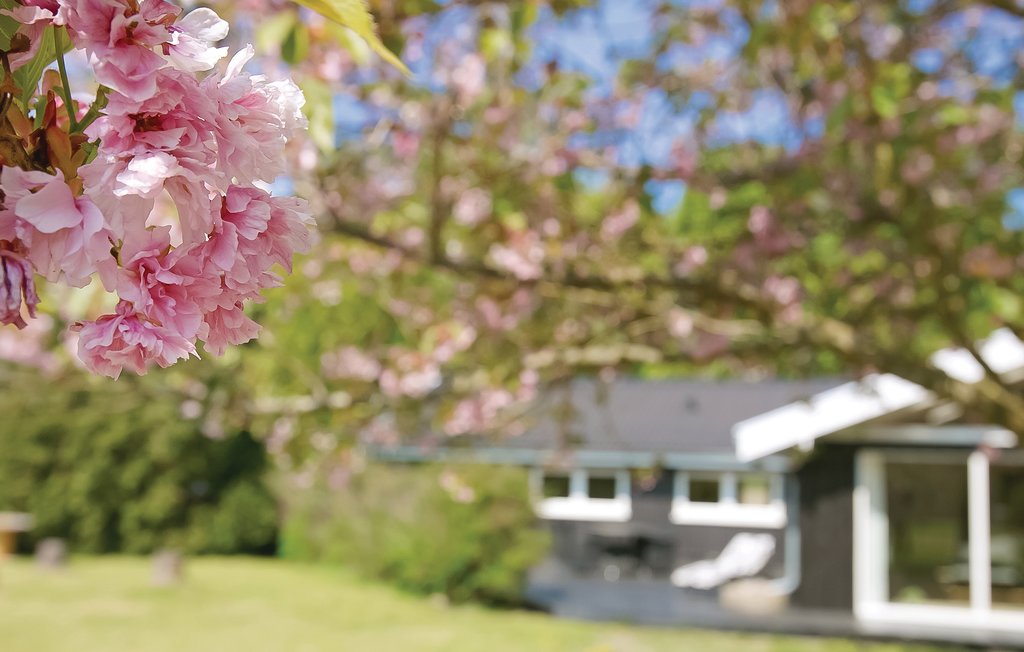 Ferienhaus - Hornbæk , Dänemark - E02100 25