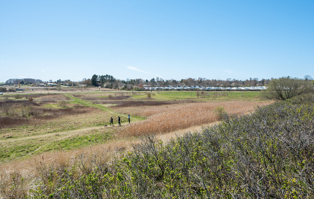 Ferienhaus - Hornbæk/Villingebæk , Dänemark - E02917 29