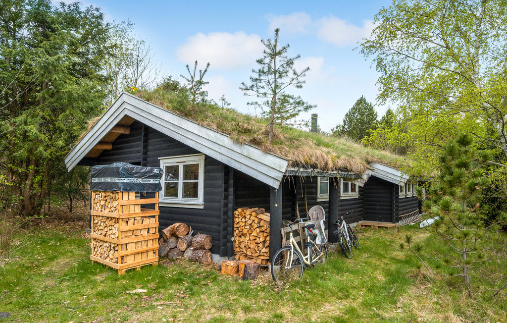 Ferienhaus - Hornbæk Strand , Dänemark - E02909 15