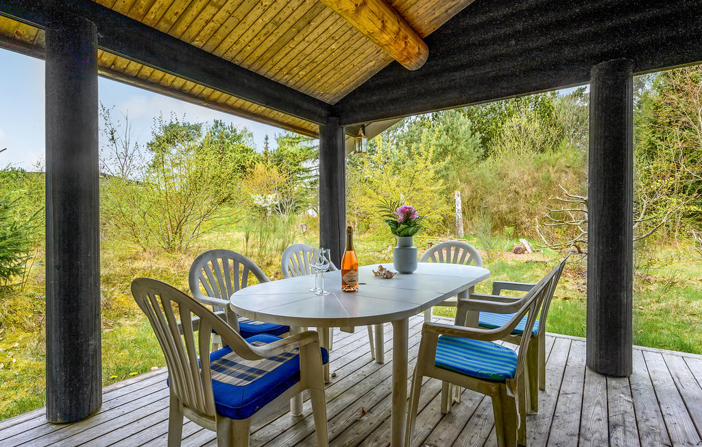 Ferienhaus - Hornbæk Strand , Dänemark - E02909 4