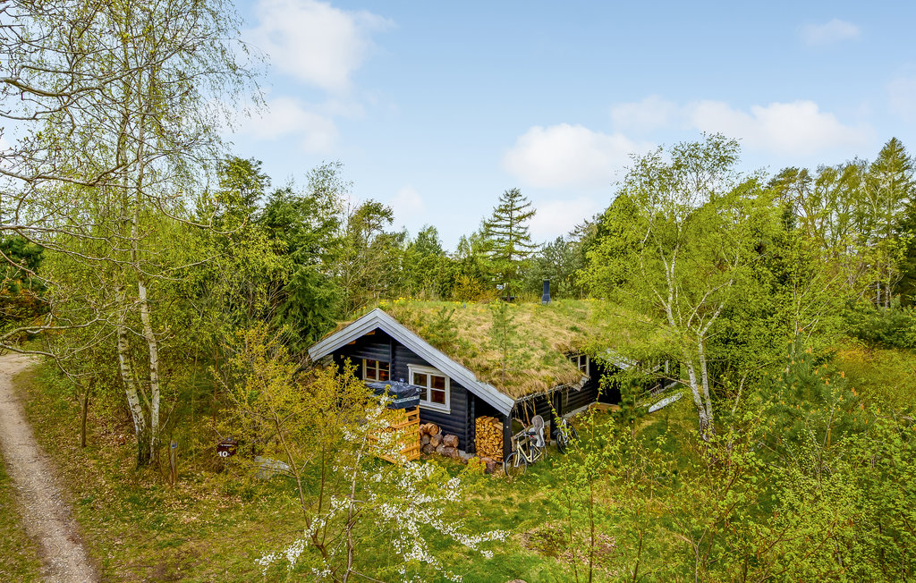 Ferienhaus - Hornbæk Strand , Dänemark - E02909 14
