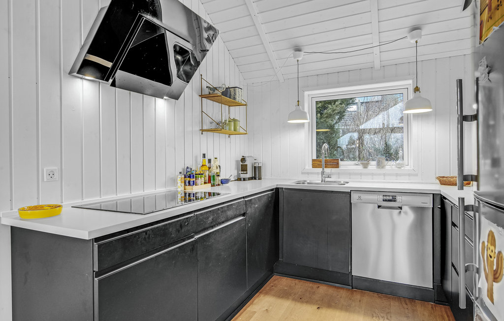 Ferienhaus - Hornbæk Strand , Dänemark - E02950 6