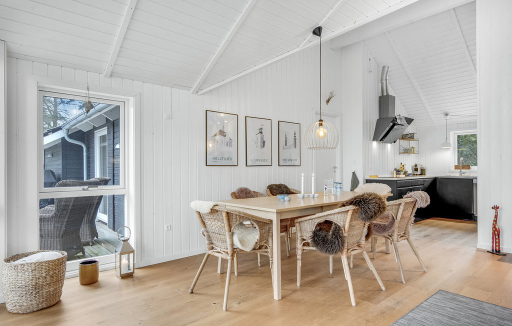 Ferienhaus - Hornbæk Strand , Dänemark - E02950 5