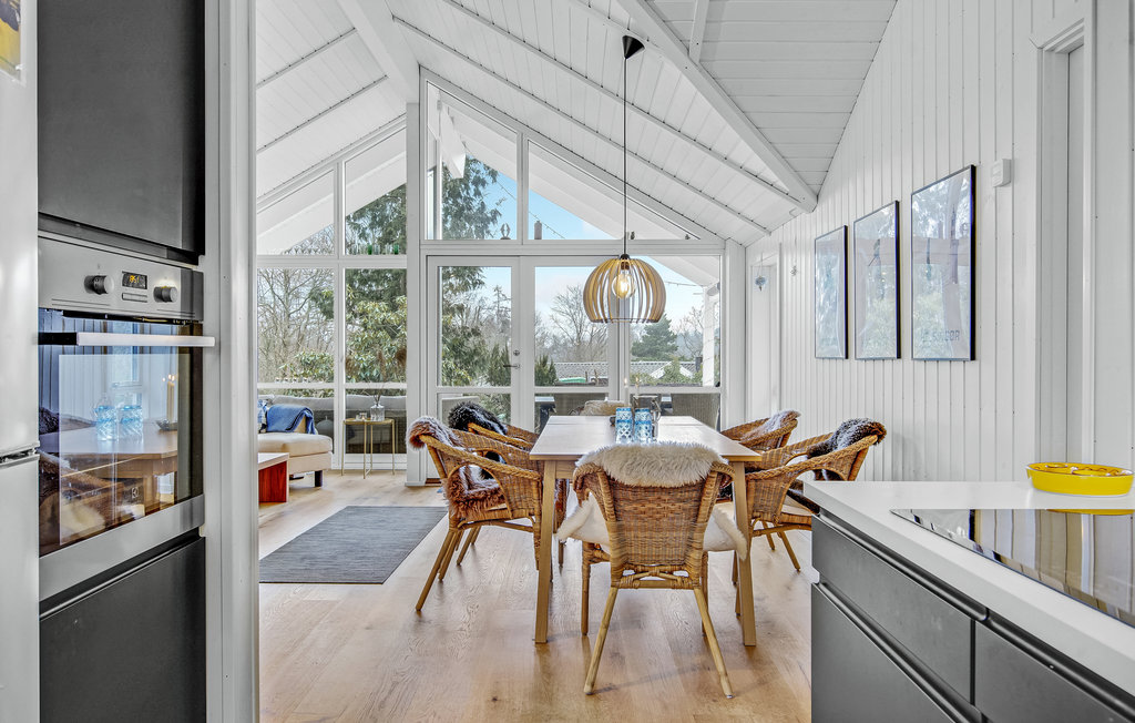Ferienhaus - Hornbæk Strand , Dänemark - E02950 19