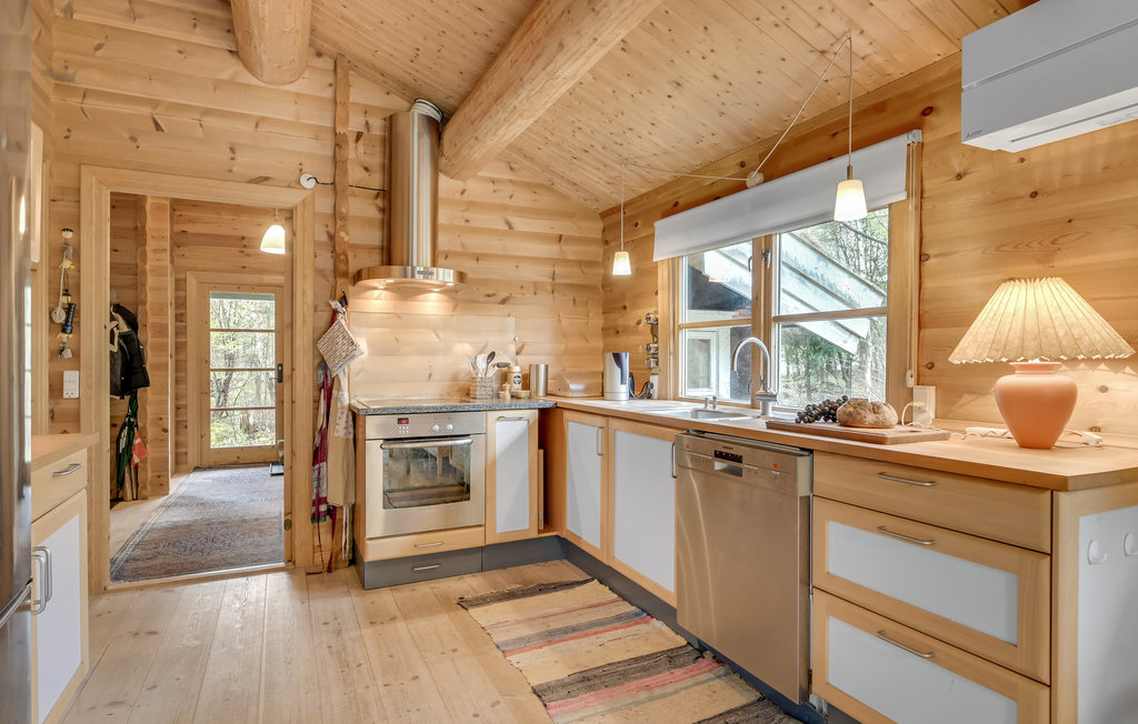 Ferienhaus - Hornbæk Strand , Dänemark - E02909 19