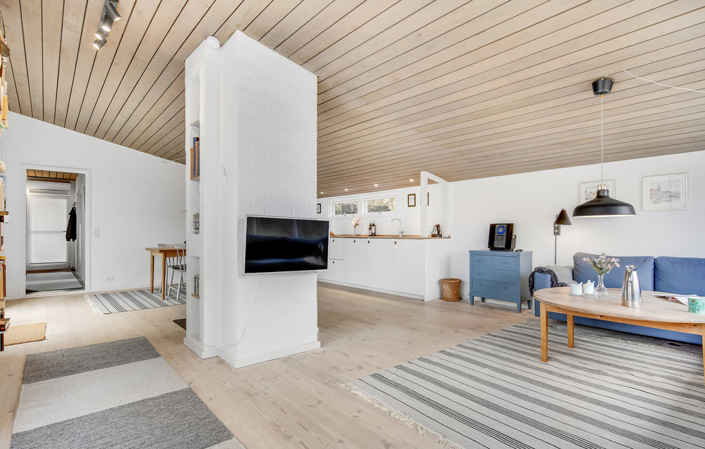Ferienhaus - Hornbæk Strand , Dänemark - E02936 5