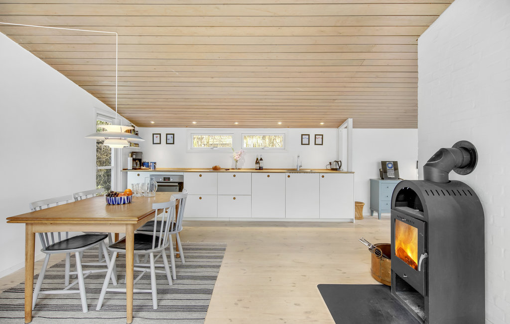 Ferienhaus - Hornbæk Strand , Dänemark - E02936 25