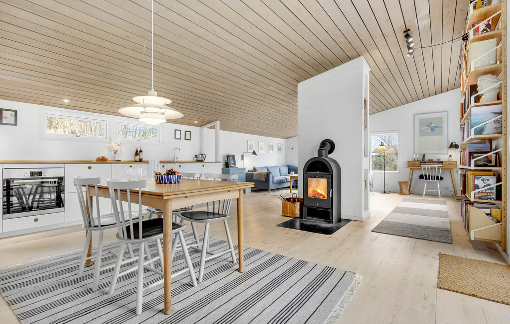 Ferienhaus - Hornbæk Strand , Dänemark - E02936 22