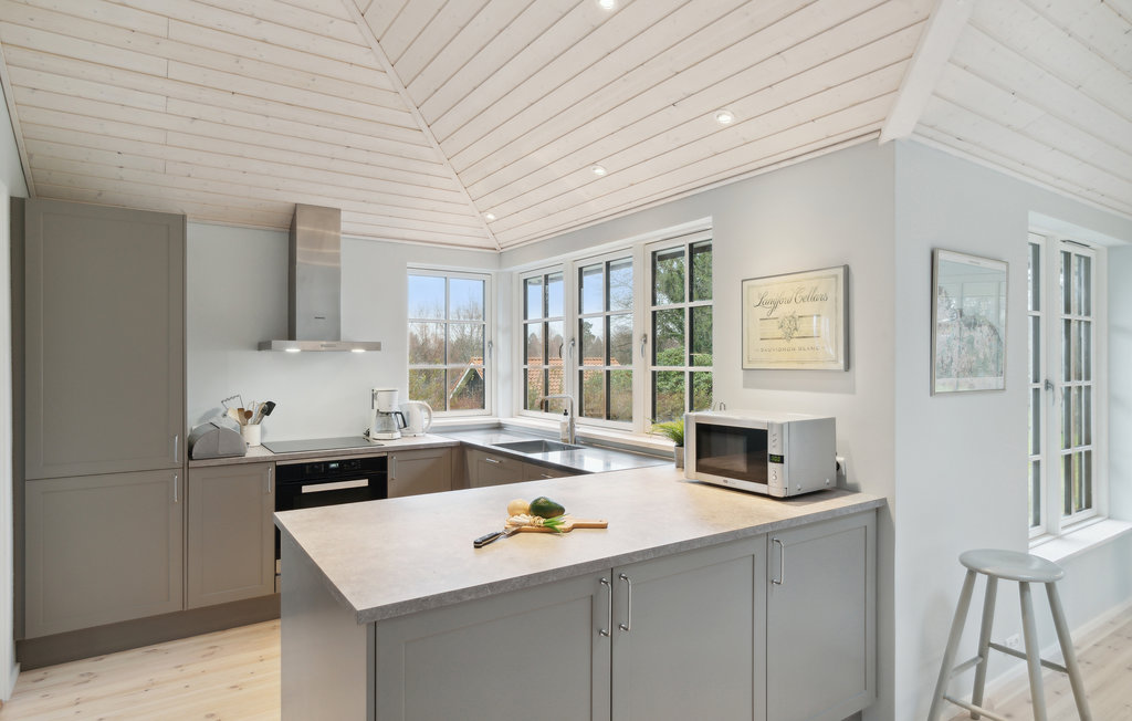 Ferienhaus - Hornbæk Strand , Dänemark - E02393 6