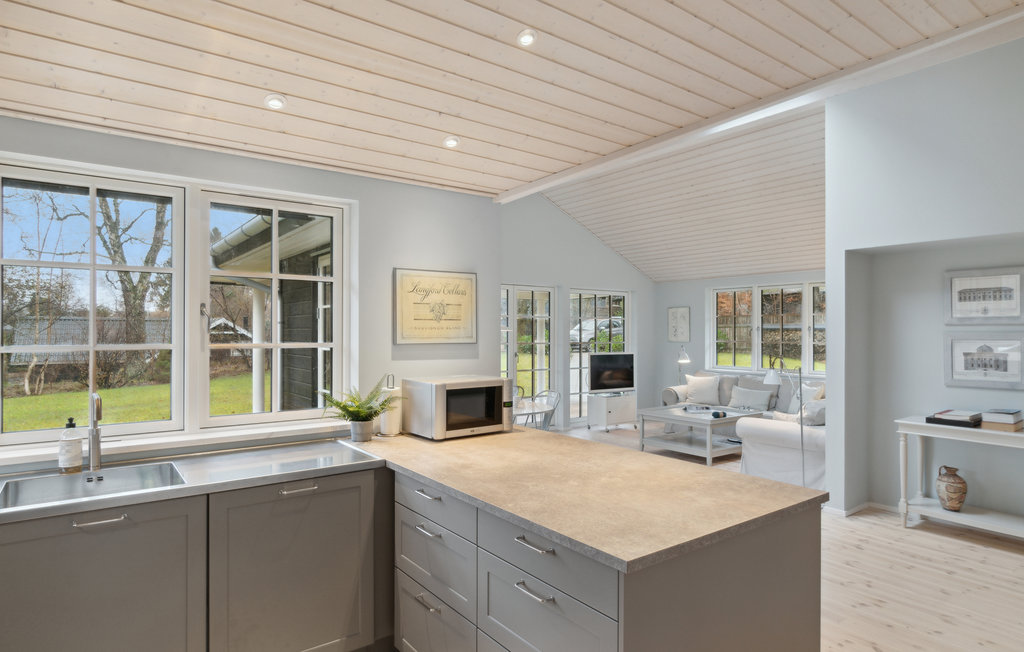 Ferienhaus - Hornbæk Strand , Dänemark - E02393 7