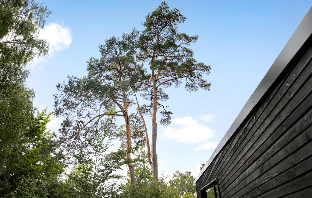 Semesterhus - Hornbæk Strand , Danmark - E02992 19