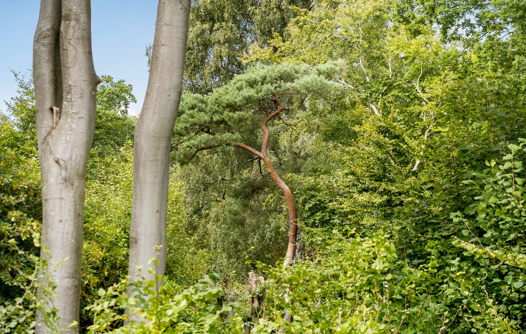 Semesterhus - Hornbæk Strand , Danmark - E02992 21