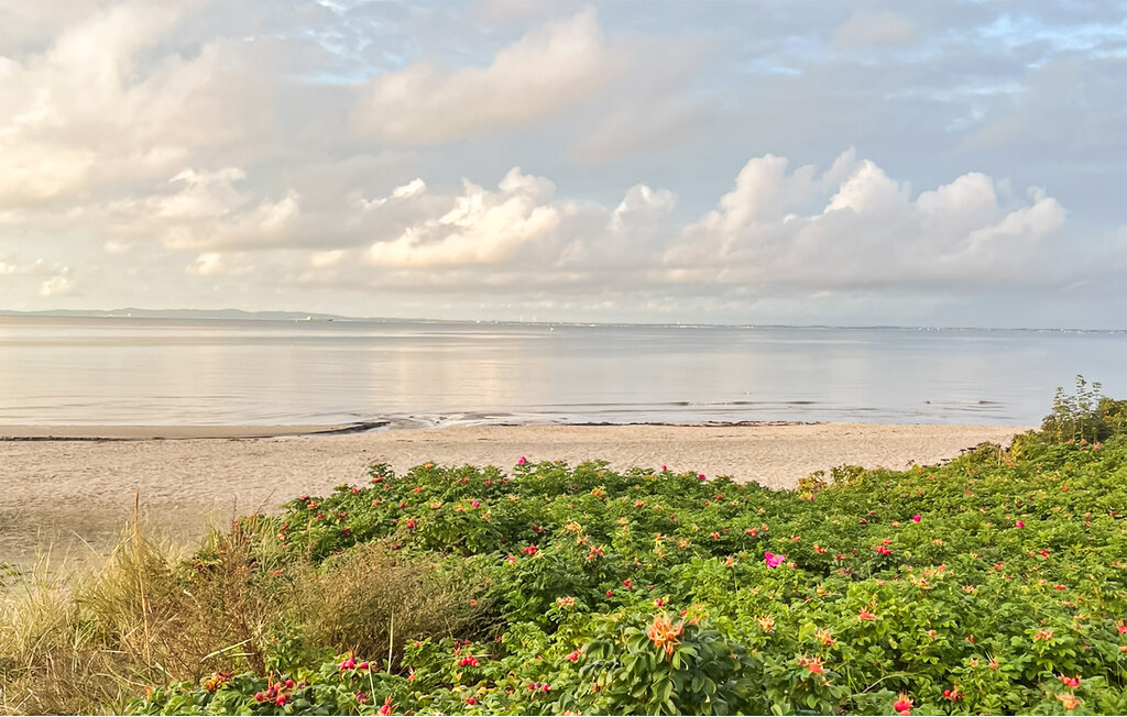 Ferienhaus - Hornbæk Strand , Dänemark - E02939 24