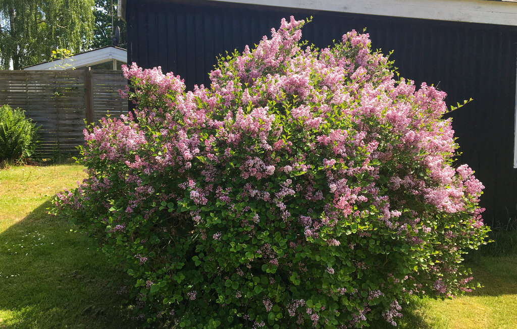 Feriehus - Gilleleje , Danmark - E03357 11