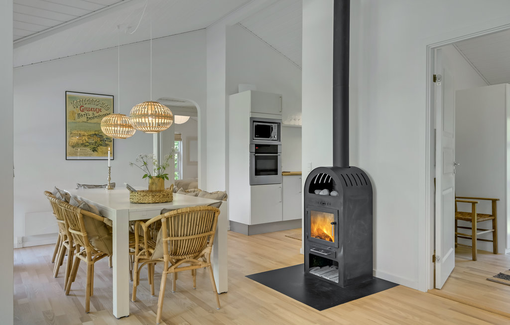 Ferienhaus - Gilleleje , Dänemark - E04615 22