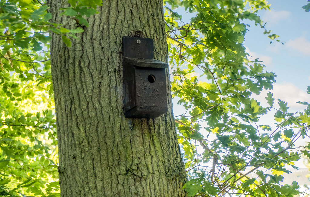 Feriehus - Gilleleje Strand , Danmark - E04689 13