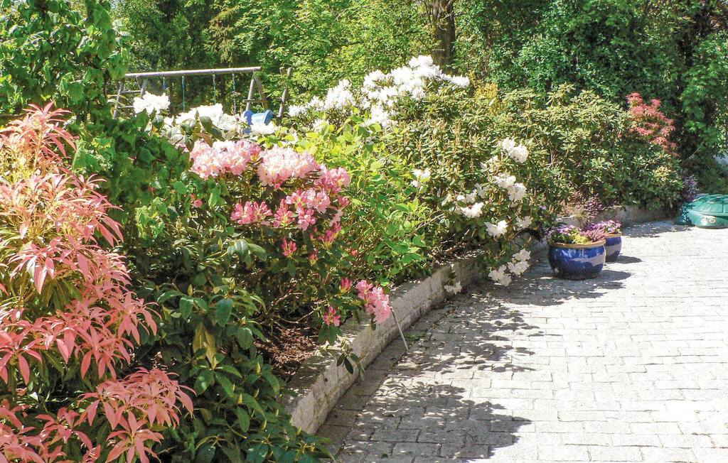 Ferienhaus - Smidstrup Strand , Dänemark - E05221 5