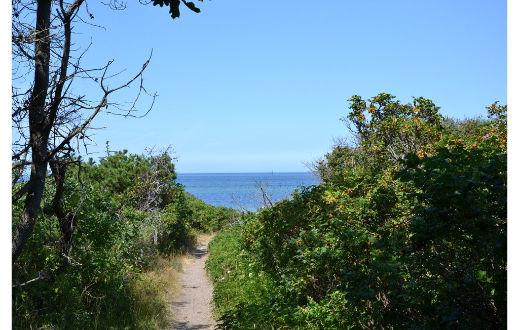 Semesterhus - Udsholt Strand , Danmark - E06763 32