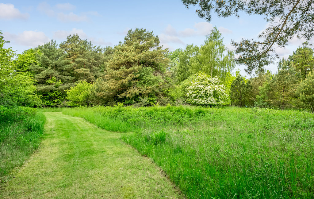 Ferienhaus - Rågeleje , Dänemark - E07224 15