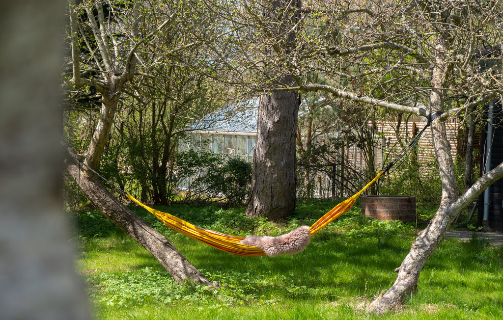 Feriehus - Vejby Strand , Danmark - E09771 13