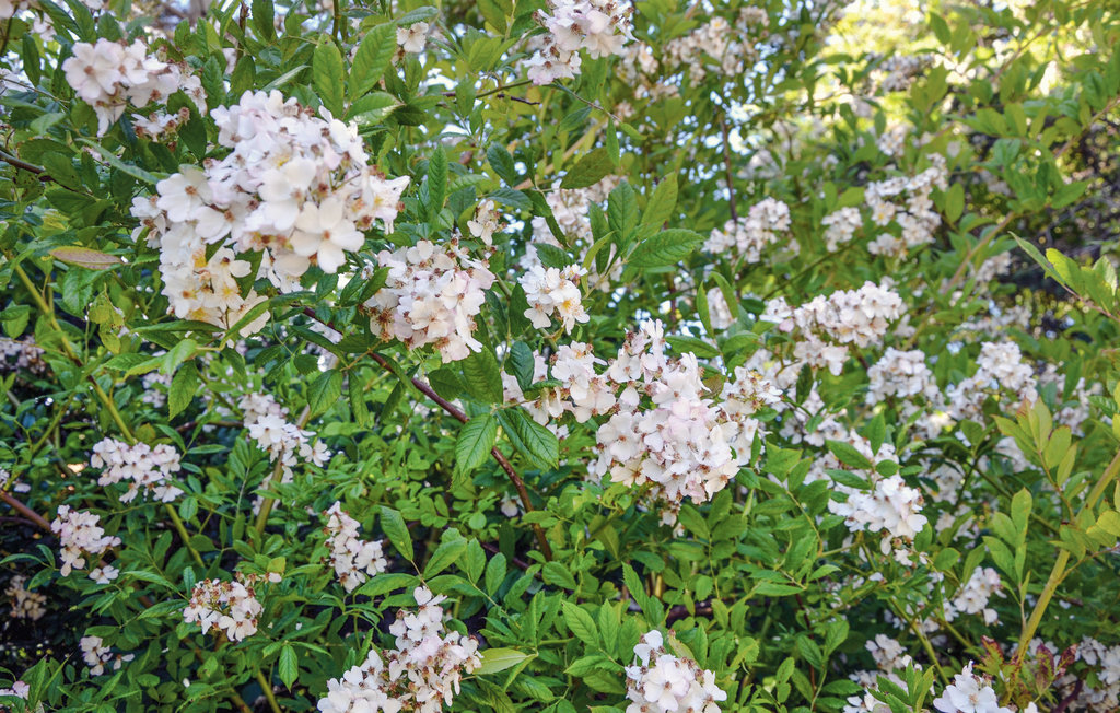 Feriehuse - Vejby Strand , Danmark - E09780 23