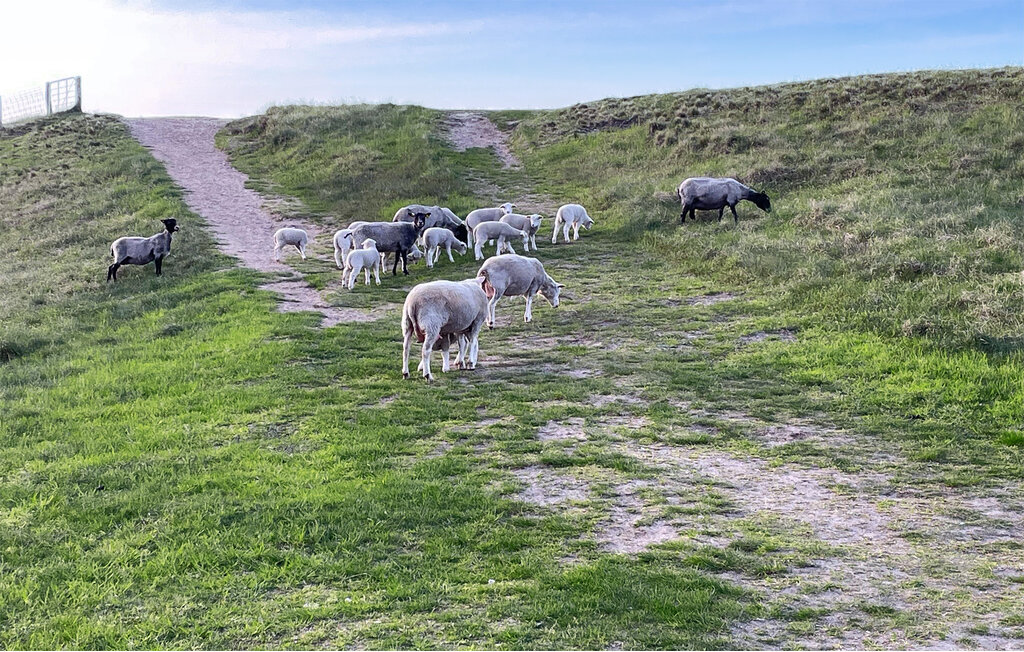 Feriehus - Rågeleje , Danmark - E09886 21